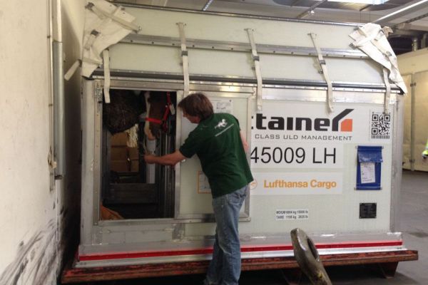air-transport-horses-in-container-02.jpg